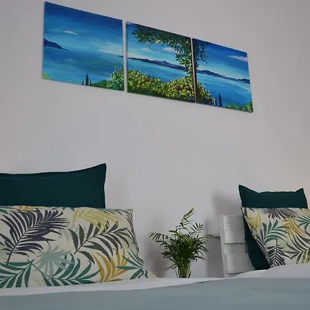 Oasis