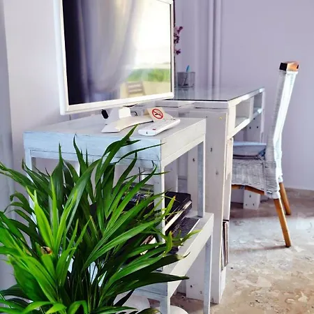 Oasis Apartament
